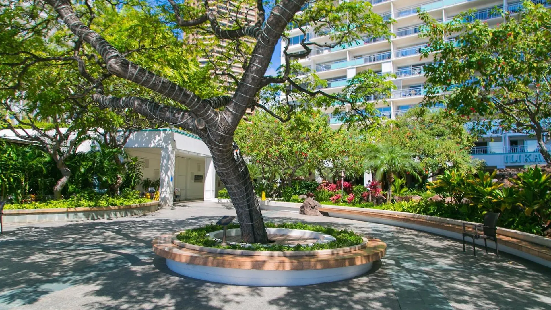 Apartament Ilikai Tower 1623 City View 1BR Honolulu Stany Zjednoczone Ameryki